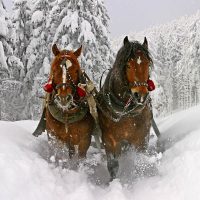 Sleigh Ride Wooden Jigsaw Puzzle