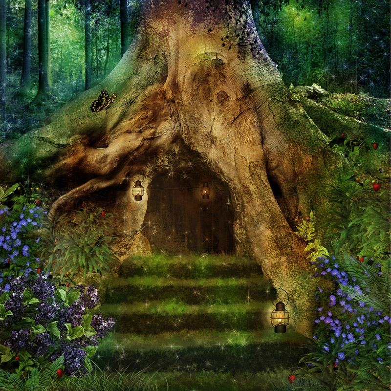 Enchanted-Forest-800x800.jpg