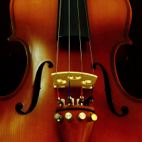 Violin Wooden Jigsaw Puzzle 800x800px