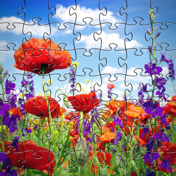 Wildflowers Wooden Jigsaw PuzzleZen Puzzles Collection